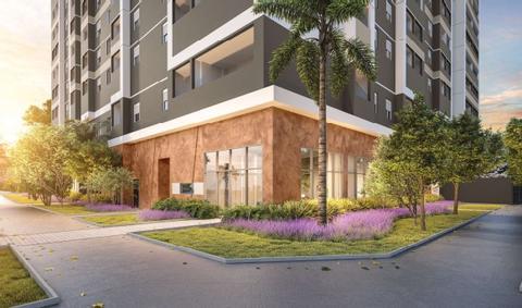 Imagem do lançamento